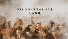 Dox: Vildhästarnas land