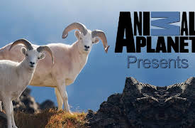 Animal Planet Presents Season 1: Renovation Wild