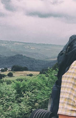 Terry Parish as Director