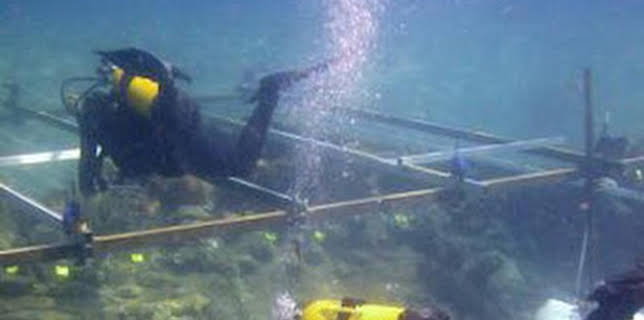 01:02: El triunfante | Canal 33 | 3/7 2026