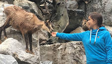 Anna und die wilden Tiere