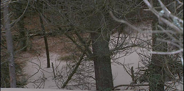 03:30: Det gode bondeliv: Øksesliping og leskur | NRK 1 | 12/16 2025