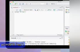 Learning Statistics: Concepts and Applications in R: Statistics Your Way with Custom Functions