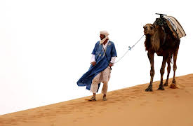 Primal Survivor: 7. Scorched Earth