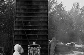 Scrapheap Challenge: AC/DC Dairy Dash