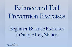 Balance and Fall Prevention Exercises: Beginner Balance Exercises Workout in Single Leg Stance