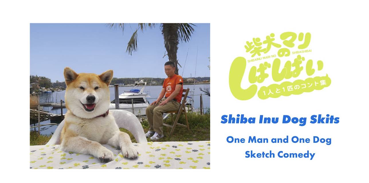 Shiba Inu Dog Skits: One Man and One Dog Sketch Comedy (2014)