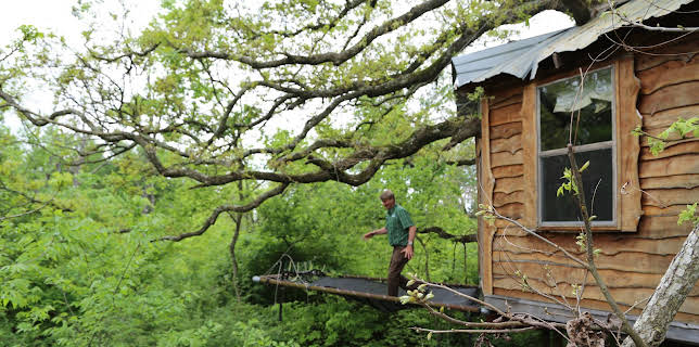 14:00: Treehouse Masters (S5 E14) (S5) | Animal Planet | 1/30 2026