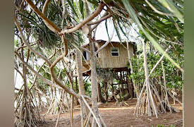 Life's a Beach, Season 1: Me, Myself and Island