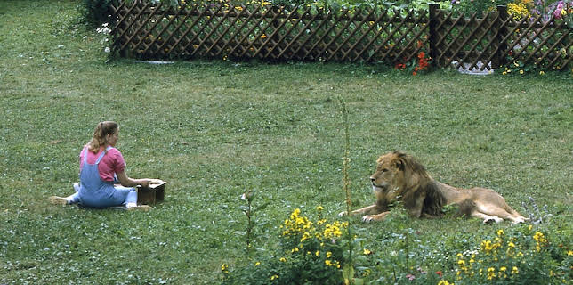 04:25: Die Schwarzwaldklinik | ZDFneo | 12/23 2025