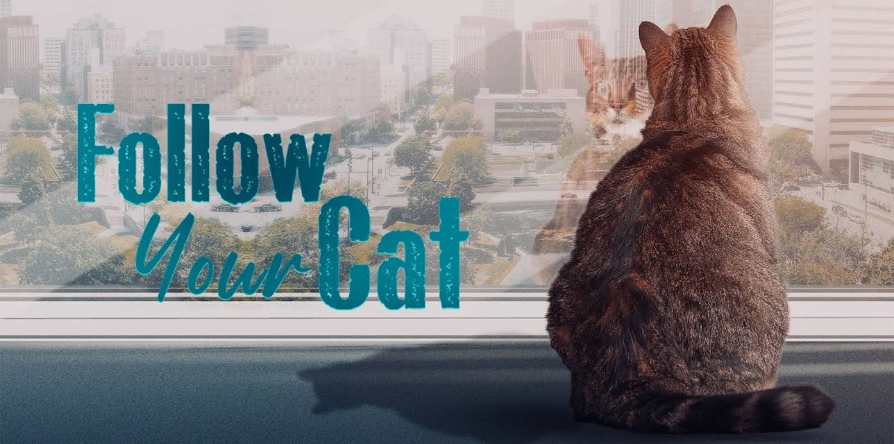 Follow Your Cat (2022)
