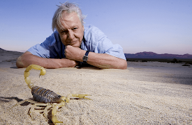 Attenborough: Life in the Undergrowth: Invasion of the Land