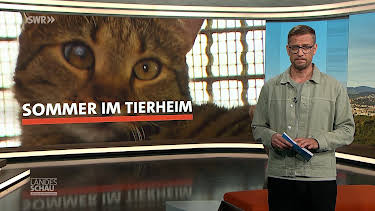 09:00: Landesschau Baden-Württemberg | SWR Fernsehen BW | 8/24 2026