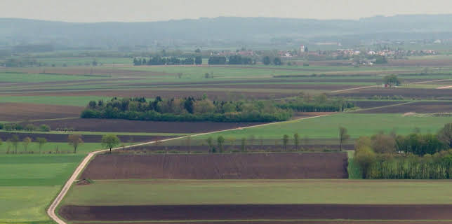 08:00: Geo-Tour | ARD Alpha | 2/5 2026