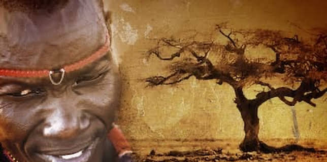 The Pokot: Cows, Guns, and Rustlers (2009)