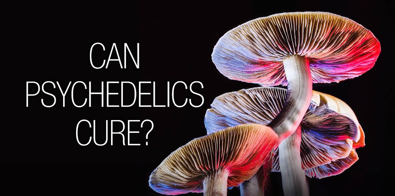 Can Psychedelics Cure? (2022)
