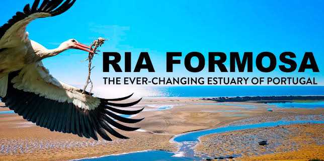 Ria Formosa: The Ever-Changing Estuary of Portugal (2023)