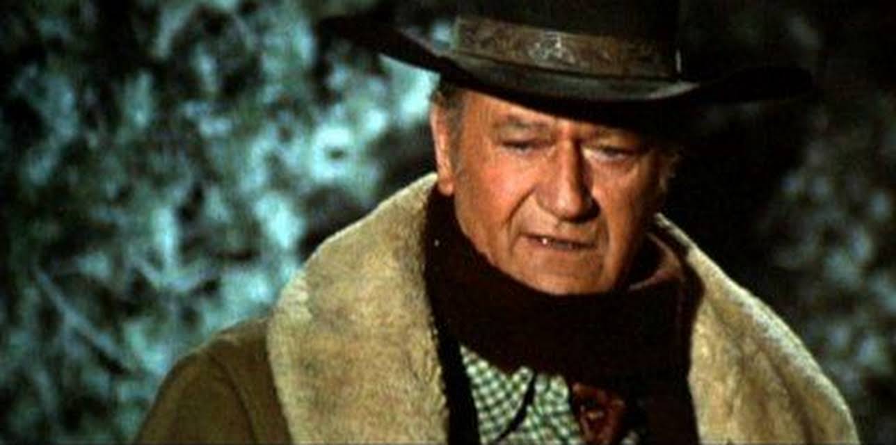 Cahill: United States Marshal (1973)