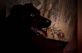 The Haunted Season 1: Leave House