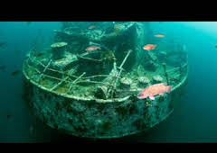 Islas Misteriosas: La isla desierta