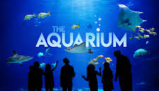 The Aquarium (S1 E7)