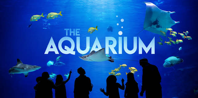 14:00: The Aquarium (S1 E2) (S1) | Animal Planet | 11/2 2025