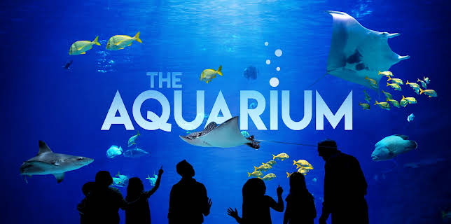 The Aquarium