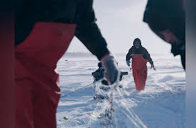 Ice Vikings: New Toy