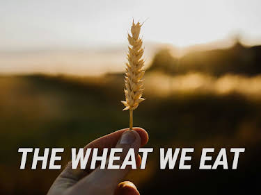 05:30: The Wheat We Eat | SWR Fernsehen RP | 6/8 2026