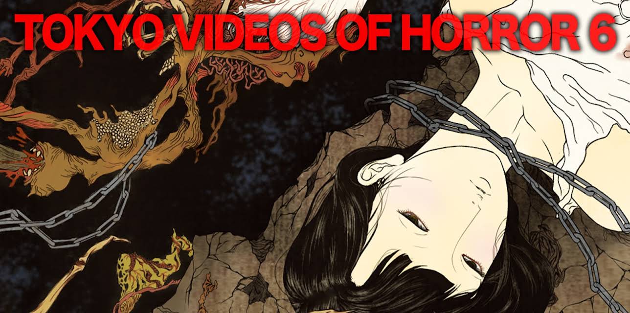 Tokyo Videos of Horror 6 (2013)