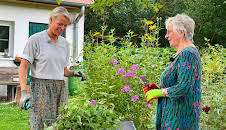 rbb Gartenzeit