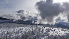 Ein Winter im Schwarzwald