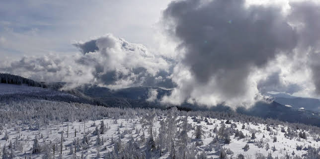 15:30: Ein Winter im Schwarzwald | 3SAT | 12/8 2025