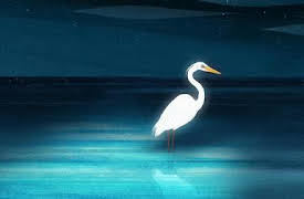 Puffin Rock: Carrera en las madrigueras / El tobogán de Silky / La garceta blanca