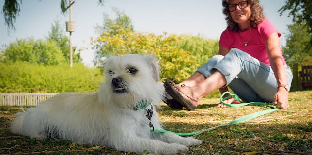 7:55 PM: The Dog House | More 4 | 12/3 2025