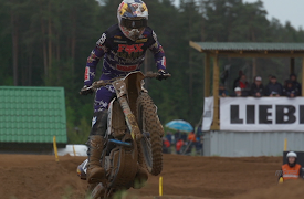 Behind the Gate - 2023: 2023 - Bull's Eye