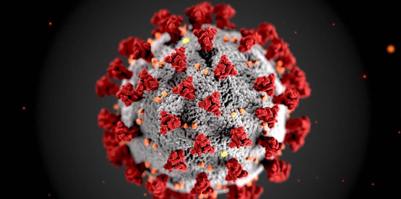 Coronavirus - en verdensomspændende epidemi