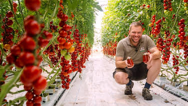 18:15: Die Nordreportage: Ketchup made in Niedersachsen | Radio Bremen | 10/12 2026