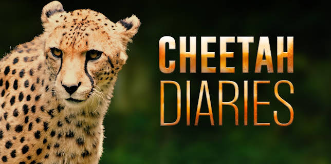 Cheetah Diaries