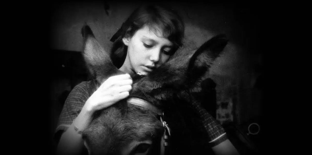 Au Hasard Balthazar (2003)