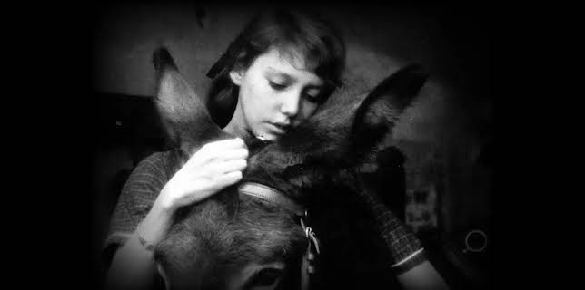 Au Hasard Balthazar (2003)