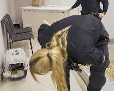 Gränsbevakarna Sverige