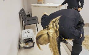 Gränsbevakarna Sverige