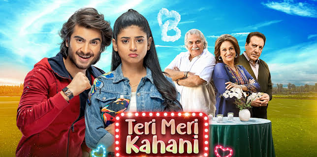 Teri Meri Kahani (2026)
