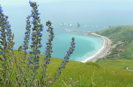 Walking Through History: The Birth of Industry