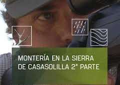 Montería en Casasolilla Sierra. Parte 2