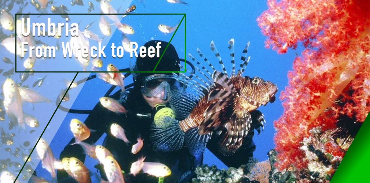Umbria - From Wreck to Reef (2001)