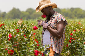 Hap and Leonard: Episode 6