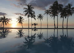 Die legendären Schätze der Tempelritter