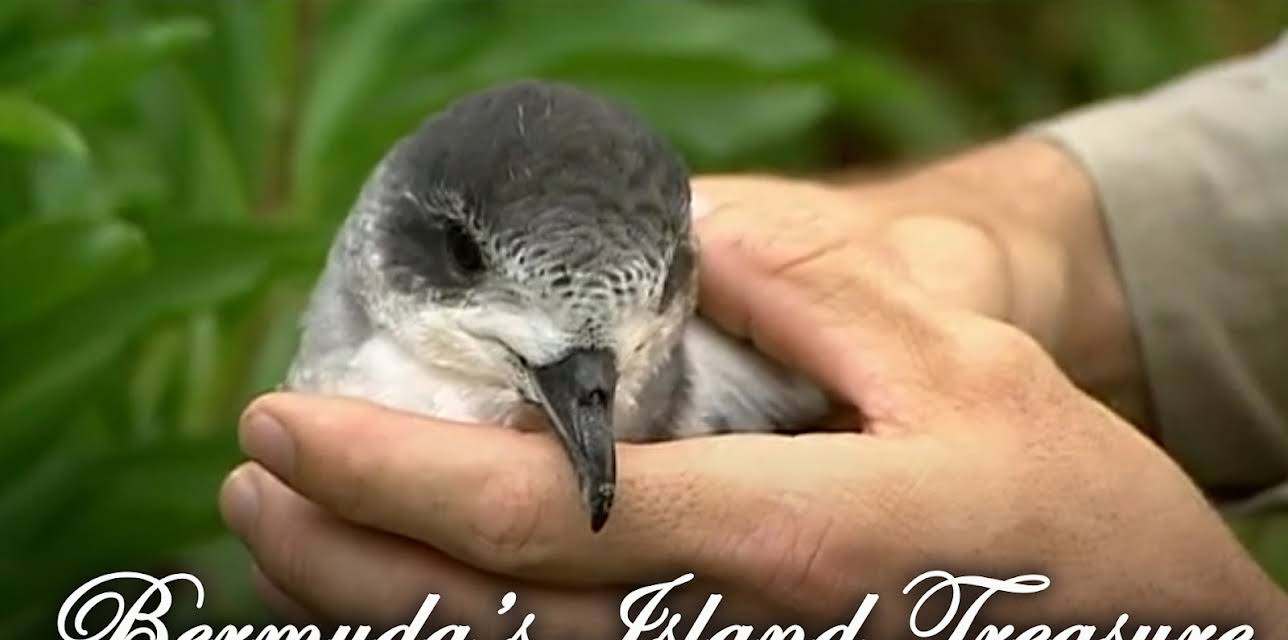 Bermuda's Island Treasure (2005)